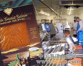 英國法恩水產公司向蘇格蘭加工廠注資120萬英鎊的法律意義與合規分析